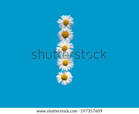 stock-photo-i-capital-letter-in-daisy-flowers-on-blue-background-197357609.jpg