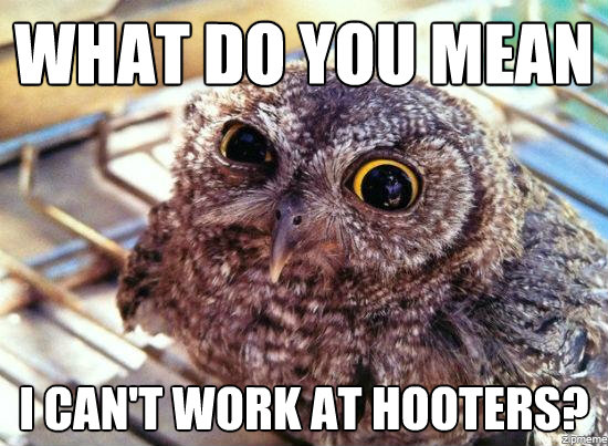 Hilariously-Adorable-Owl-Memes-11.jpg