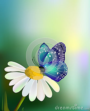 vector-blue-butterfly-daisy-flower-9408561.jpg