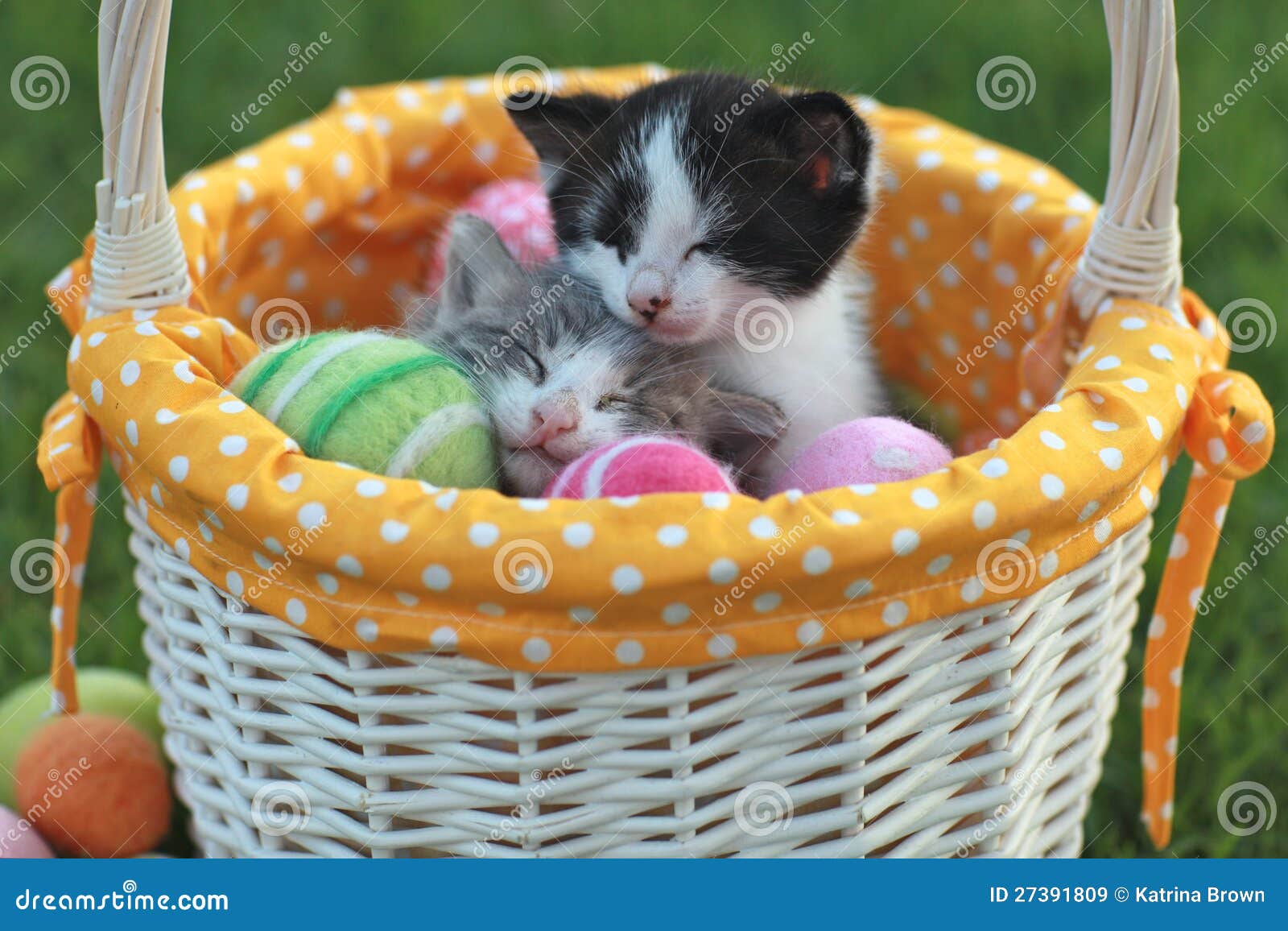 adorable-kittens-holiday-easter-basket-27391809.jpg