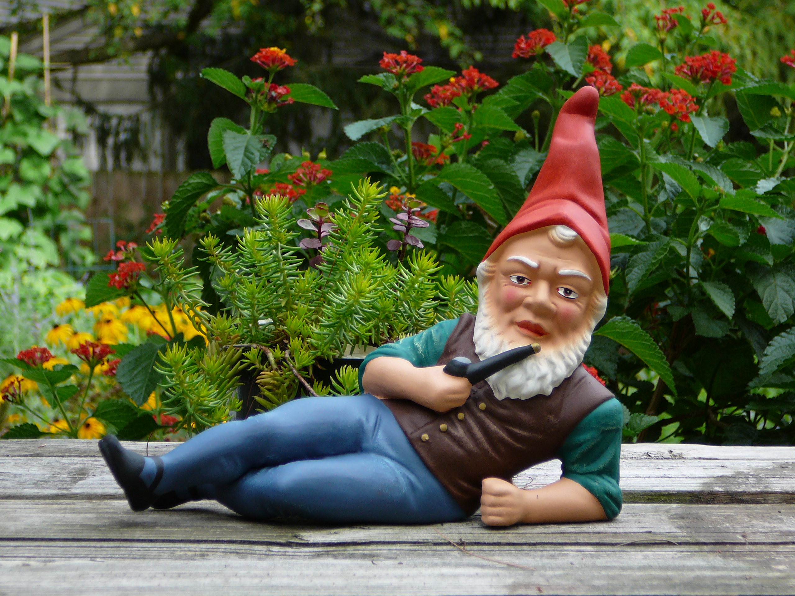 German_garden_gnome.jpg