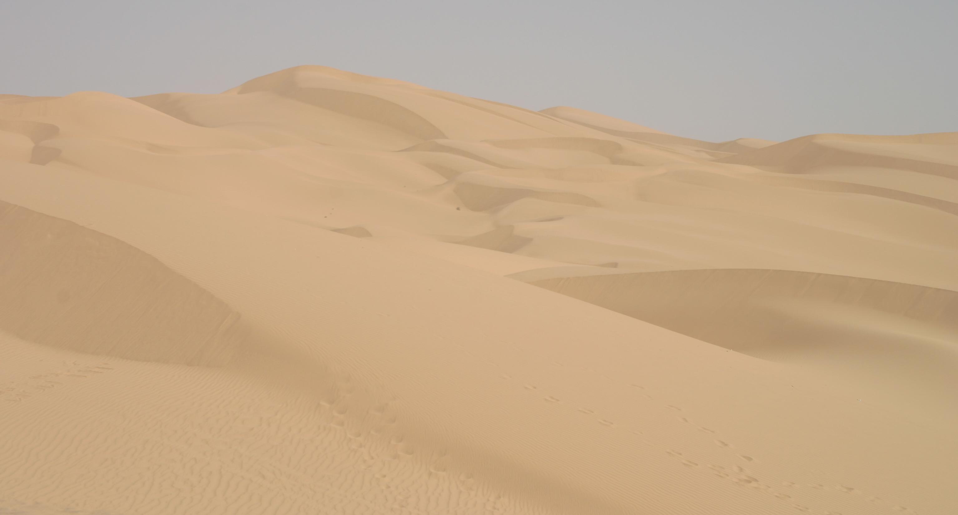 Imperial_sand_dunes.jpg