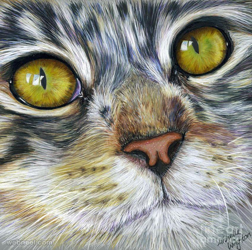 15-cat-color-pencil-drawing-michelle.jpg