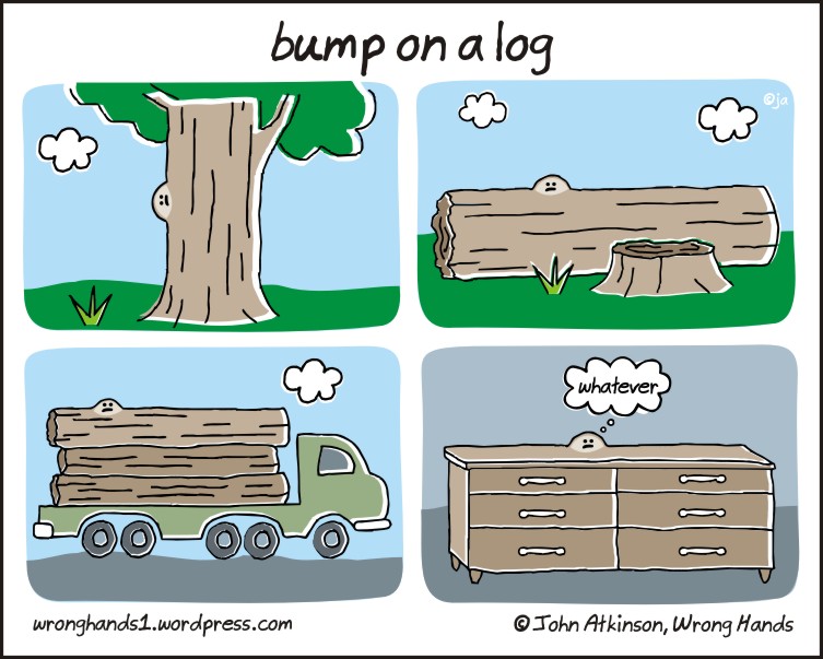 bump-on-a-log.jpg