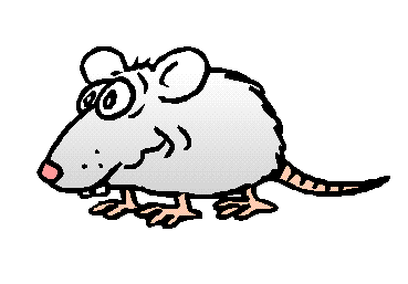 animated-rat-image-0091.gif