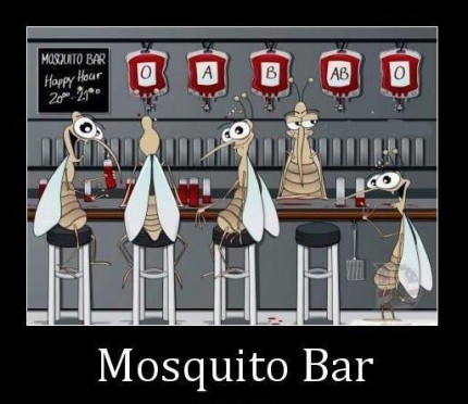 mosquitobar.jpg