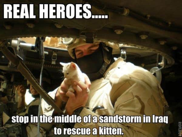hero-soldier-kitten-tank.jpg