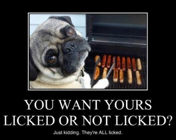 funny-dogs-bbq-hot-dogs.jpg