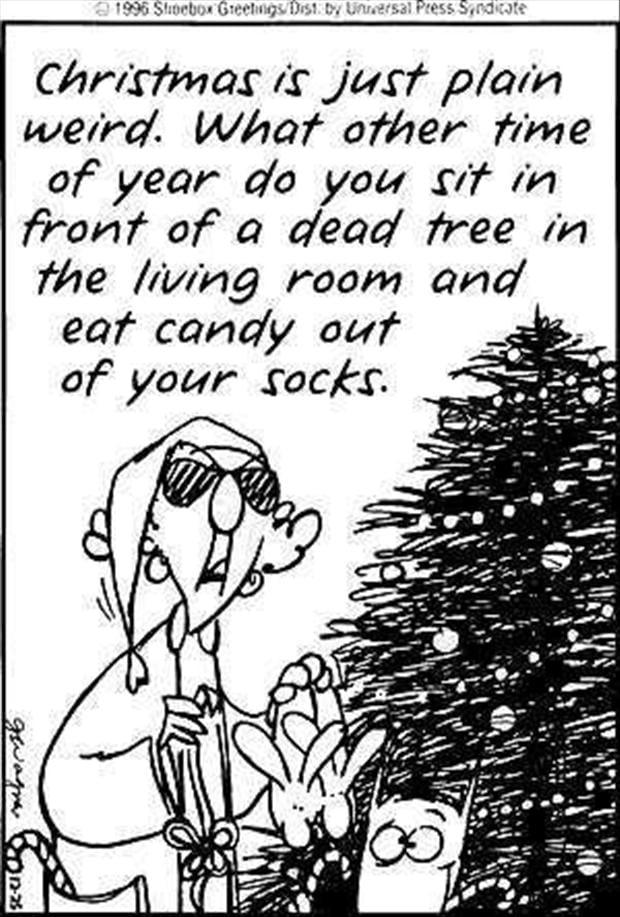 christmas-is-just-weird-funny-comic-quotes.jpg