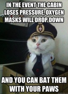 funny-cats-airline-pilot-meme-219x300.jpg