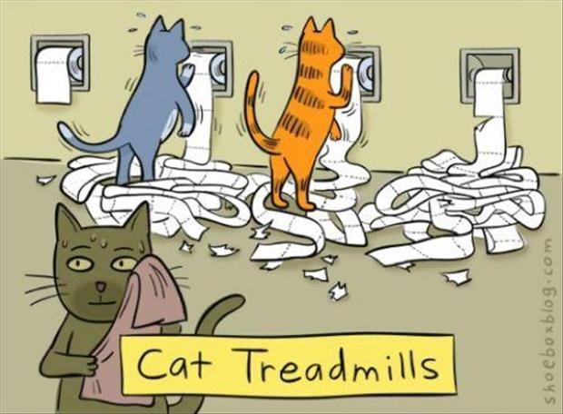 funny-cat-comics.jpg