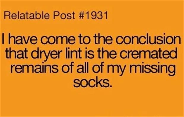 funny-socks-dryer-lint-quotes.jpg
