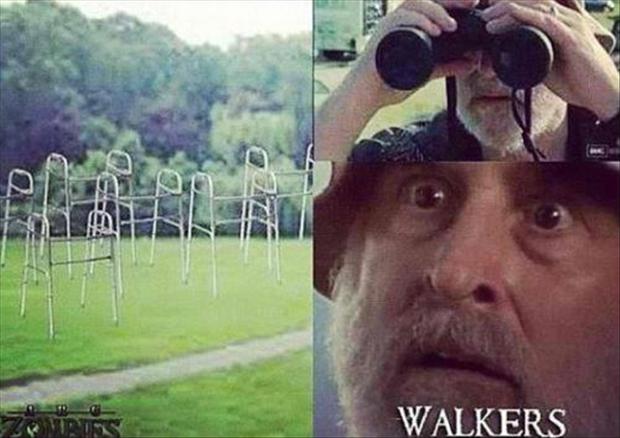 the-walking-dead-funny-pictures.jpg
