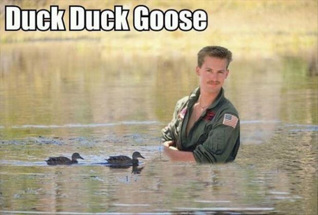 duck-duck-goose-funny-pictures.jpg