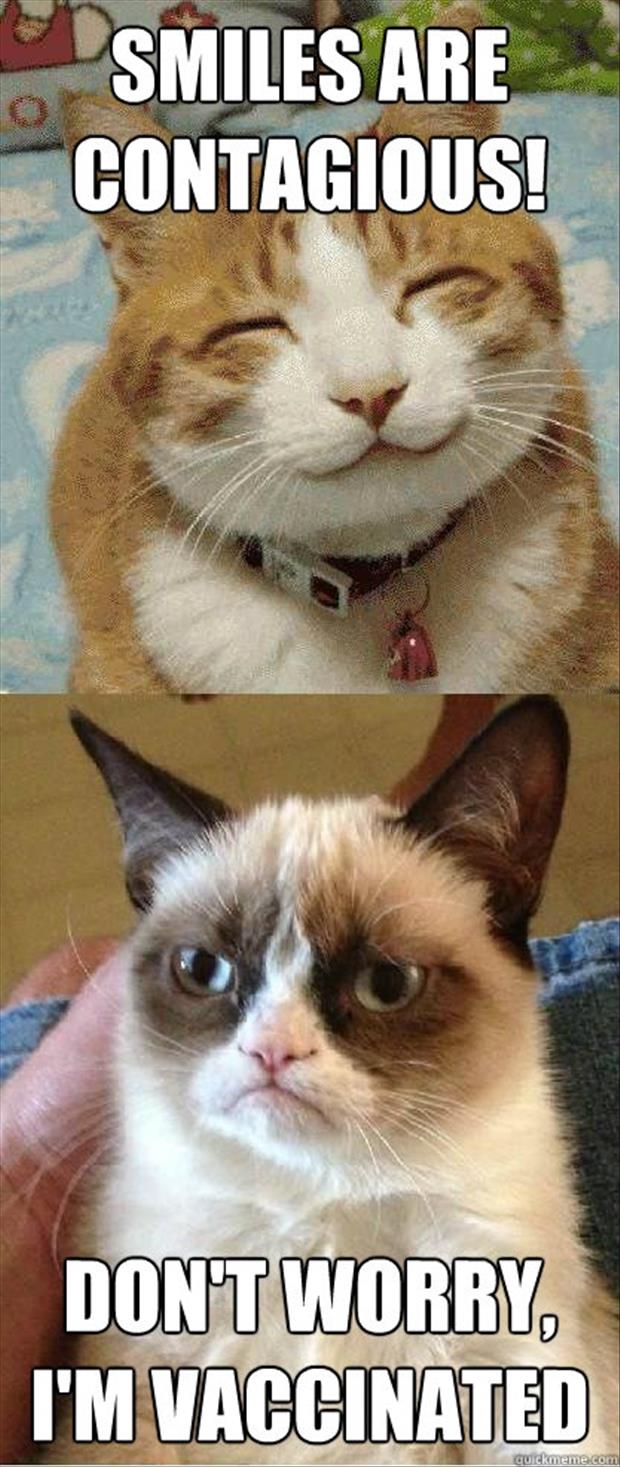 funny-grumpy-cat-smiles.jpg