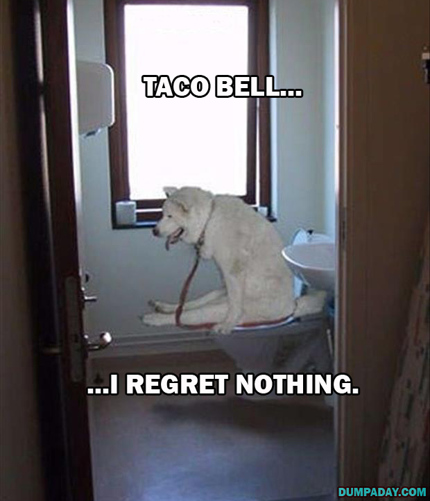 a-dogs-regret-nothing-13.jpg