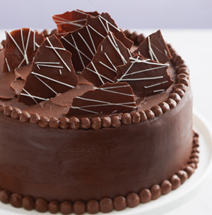 double-chocolate-cake.jpg