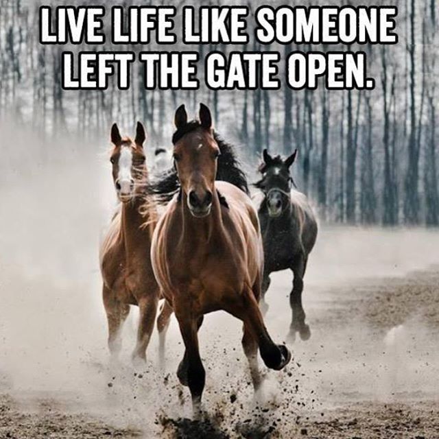 211896-Live-Life-Like-Someone-Left-The-Gate-Open.jpg