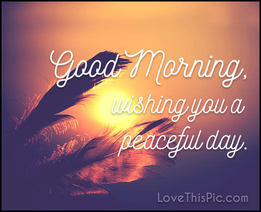 213270-Good-Morning-Wishing-You-A-Peaceful-Day-Quote.jpg