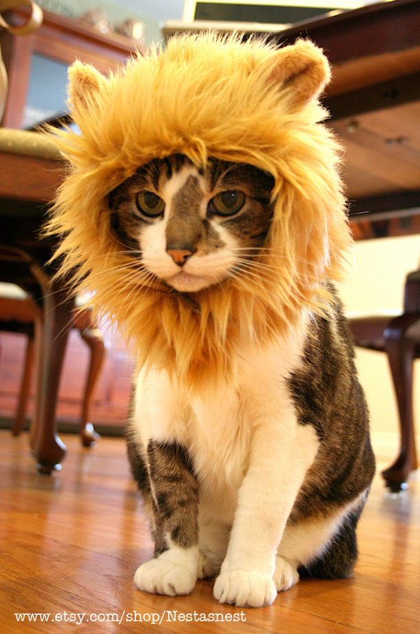 Lion-Hat-for-Cats-1.jpg