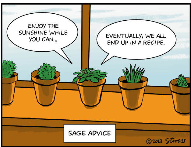 2013-03-01-Sage-advice.gif