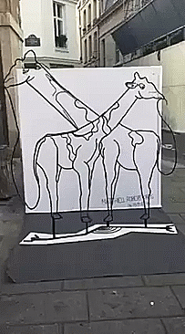 giraffe-or-elephant-optical-illusion.gif