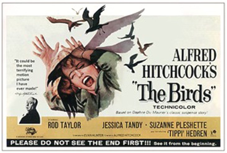 The-Birds-Poster-1963.jpg