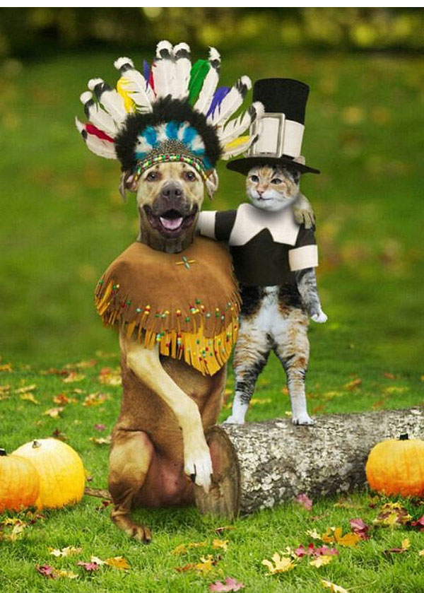 ThanksgivingDay-dog-and-cat.jpeg