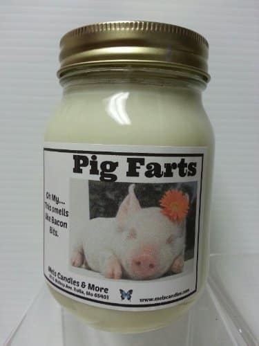 Pig-Farts-Smells-Like-Bacon-Bits-16oz-All-Natural-Soy-Candle-0.jpg