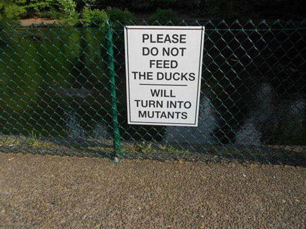 Funny-Sign-Boards-Do-not-feed-ducks-15.jpg