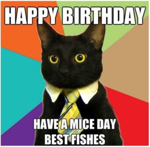 Happy-Birthday-Cat-Memes-300x295.jpg