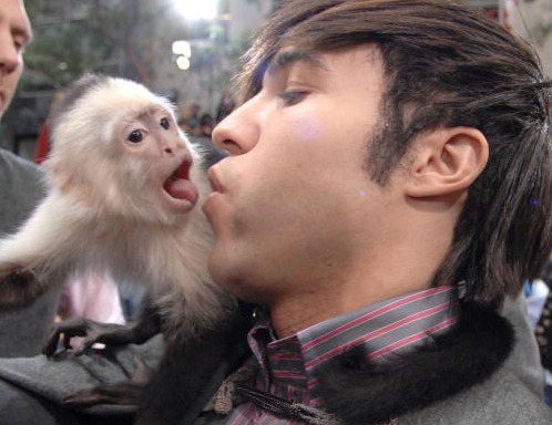 kissing-pet-monkey.png