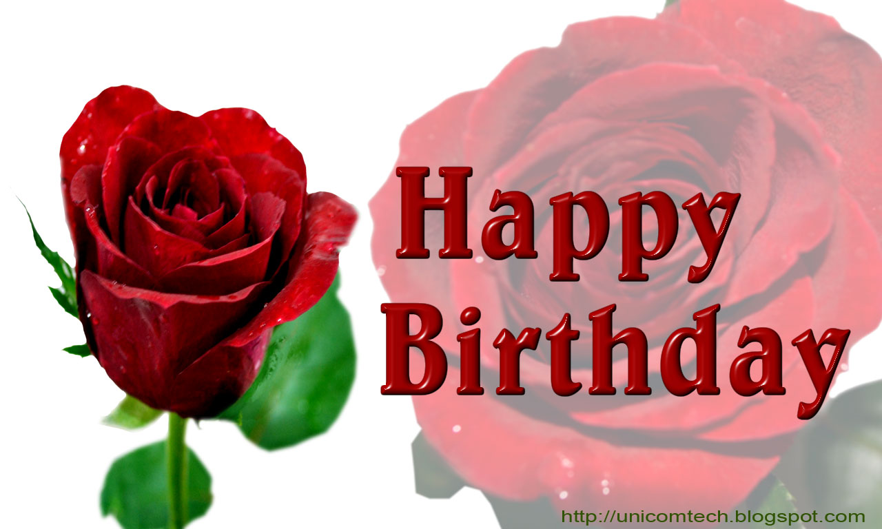 Happy-Birthday-Red-Rose-wb0111.jpg