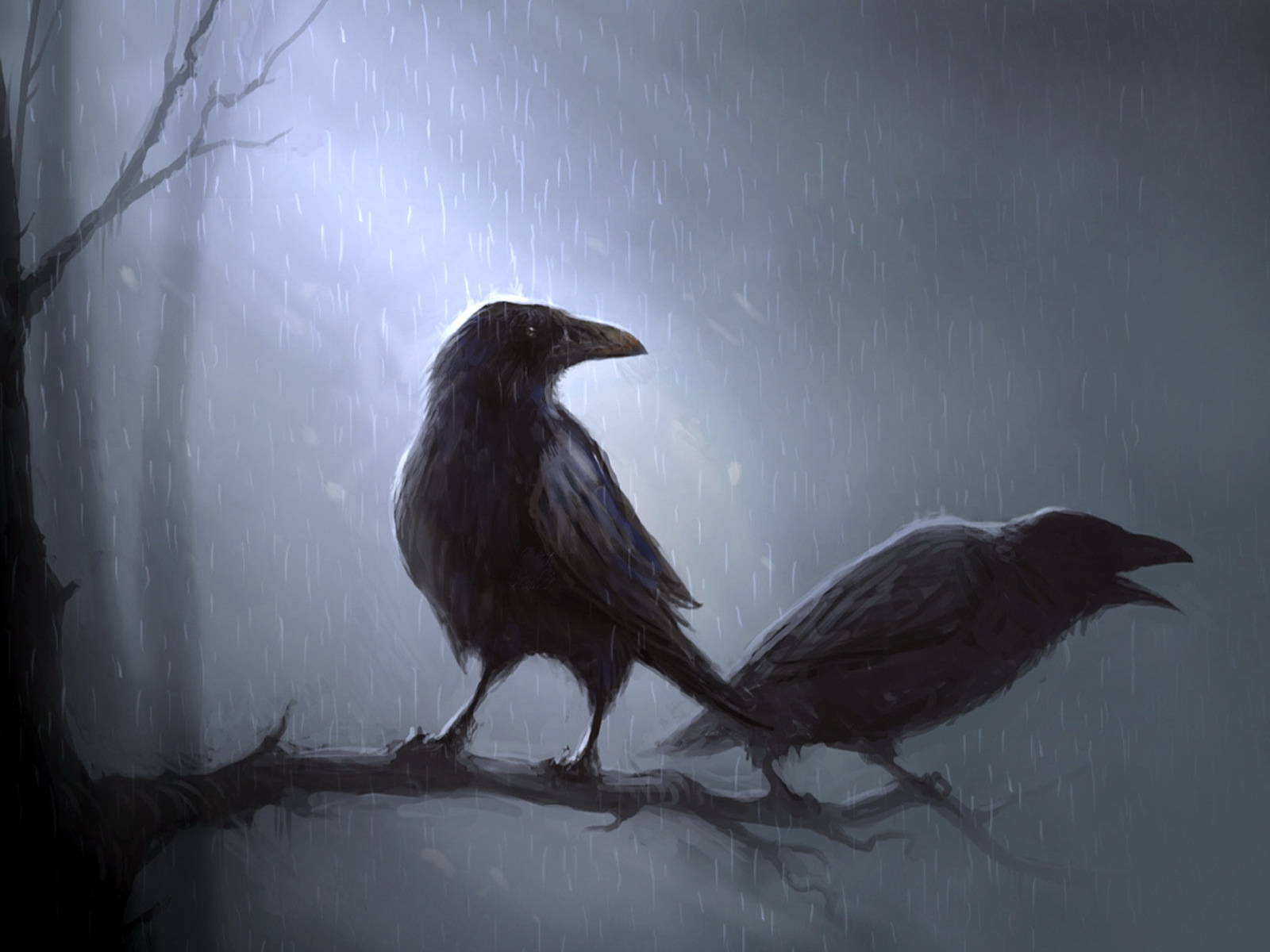 Drawn_wallpapers_Crows_in_the_rain_014315_.jpg