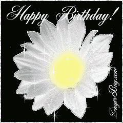happy_birthday_daisy.gif