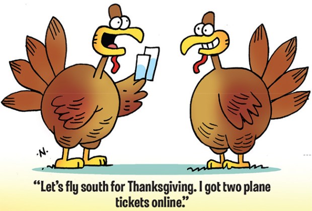 turkey-flight.jpg