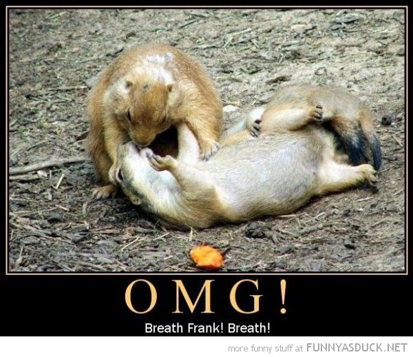 funny-squirrel-giving-mouth-omg-frank-breath-pics.jpg