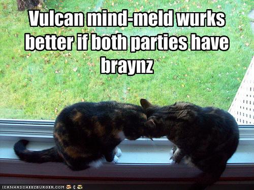 funny-pictures-the-vulcan-mind-meld-is-not-working1.jpg