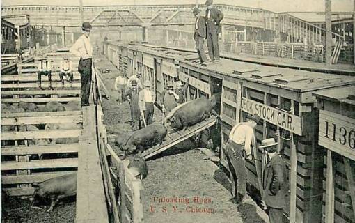 postcard-chicago-union-stock-yards-unloading-hogs-from-train-1912.jpg