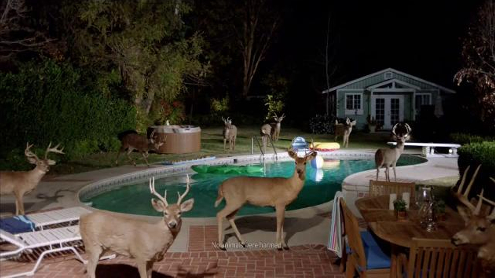 farmers-insurance-hall-of-claims-stag-pool-party-large-4.jpg