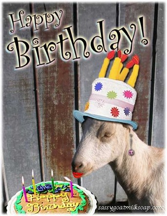 happy-birthday-goat.jpg