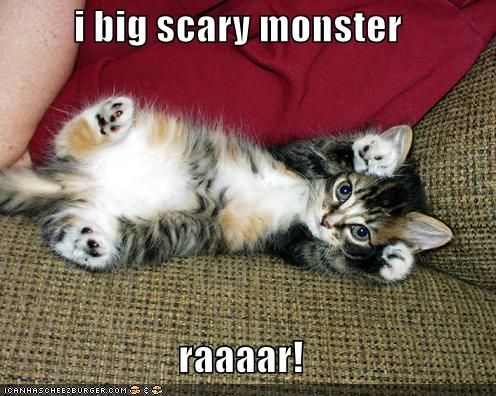 c8df653783e167b88a548fc9637257ad--big-scary-scary-cat.jpg
