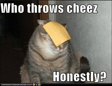 funny-pictures-cat-asks-who-throws-cheese.jpg