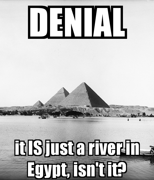 denial-it-is-just-a-river-in-egypt-isnt-it.png