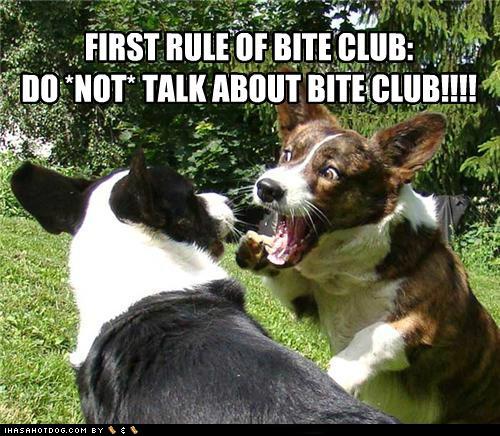 funny-dog-pictures-first-rule-of-bite-club-do-not-talk-about-bite-club.jpg