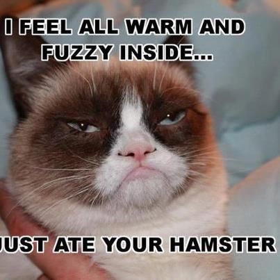 what-makes-grumpy-cat-warm-inside.jpg
