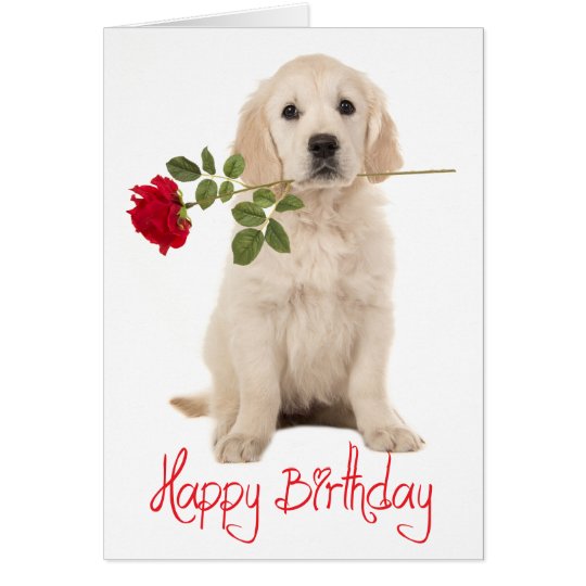 happy_birthday_golden_retriever_puppy_dog_card-r1973e7a2ba924ca597b353733acd8196_xvuat_8byvr_540.jpg