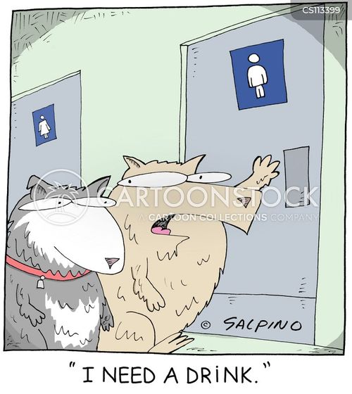 animals-restroom-bathroom-toilet-drinks_break-toilet_break-msan252_low.jpg