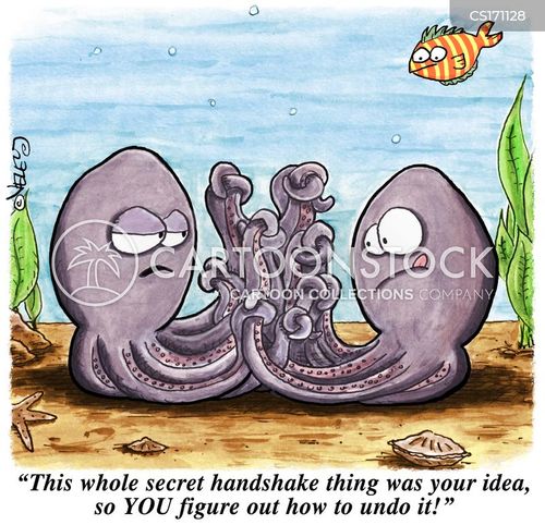 animals-shaking_hands-handshakes-secret_handshakes-octopuses-squid-bve0007_low.jpg