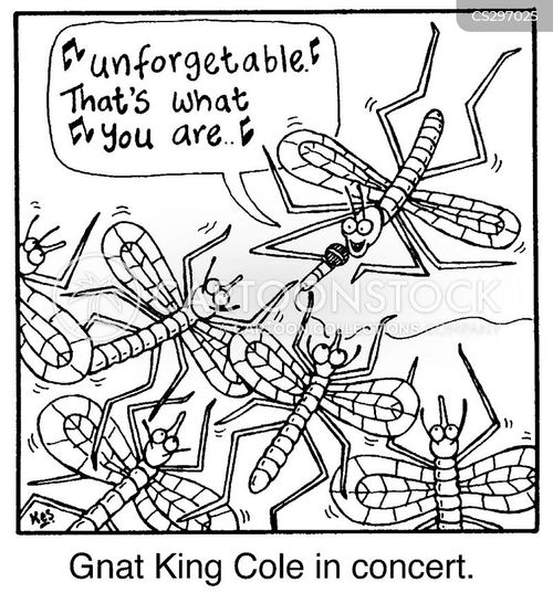 music-gnat-flies-insects-bug-nat_king_cole-ksm0052_low.jpg
